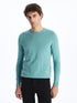 LC Waikiki Crew Neck Long Sleeve Men's Tricot Sweater